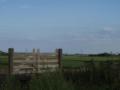 Farming fields