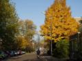 otono/p1010016.jpg