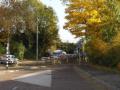 otono/p1010020.jpg