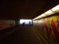 otono/p1010022.jpg