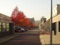 otono/p1010027.jpg