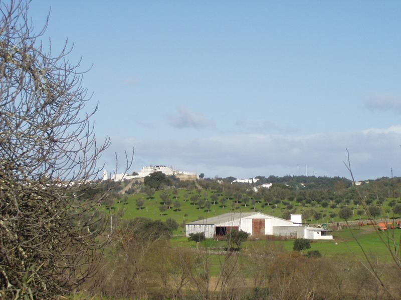 set1/p1010090.jpg