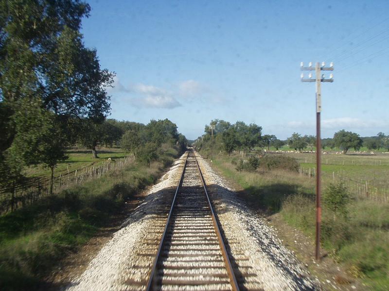 set1/p1010091.jpg