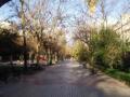 set1/p1010093.jpg