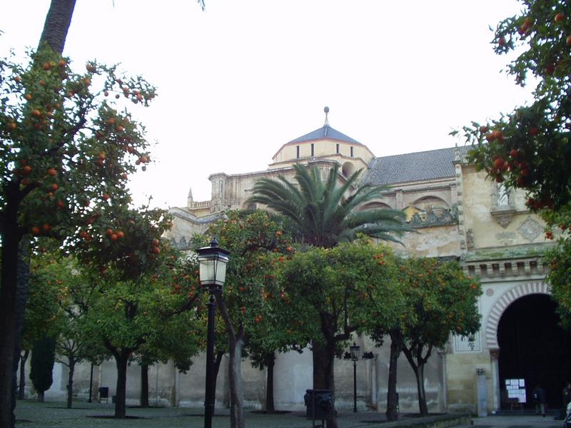 set1/p1010127.jpg