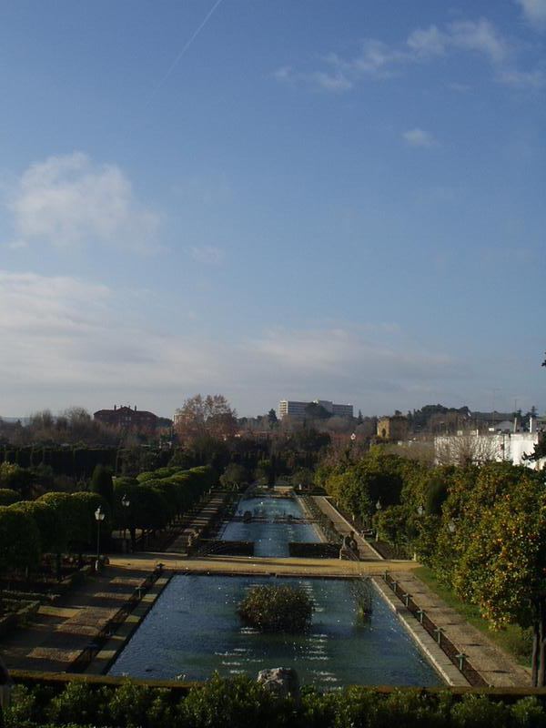 set1/p1010133.jpg