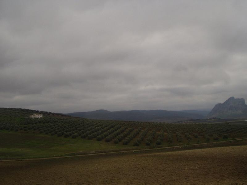 set1/p1010147.jpg