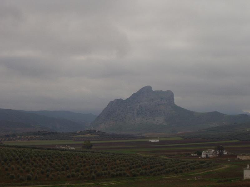 set1/p1010148.jpg