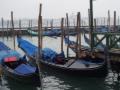 set2/p1010100.jpg
