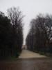 set2/p1010107.jpg