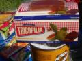 Tricopilias in the Netherlands