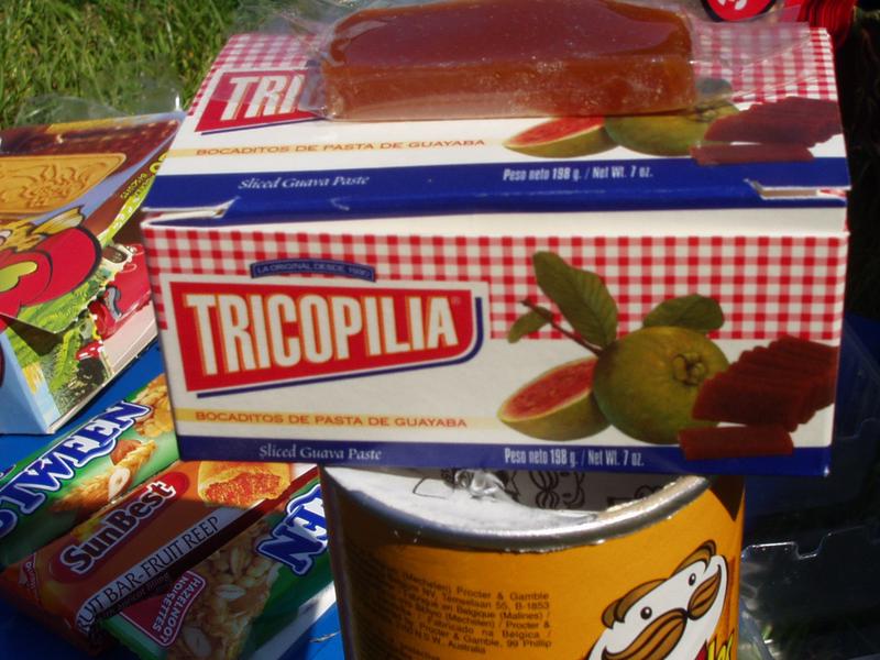 Tricopilias in the Netherlands
