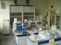 Uno de los muchos laboratorios