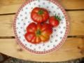 aug07-tonylisbeth/p1010057.jpg