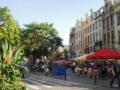 aug11-bruselas/p1010078.jpg