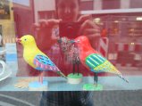 picture thumbnail
