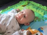 picture thumbnail