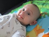 picture thumbnail