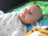 picture thumbnail