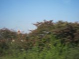 picture thumbnail