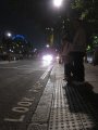 picture thumbnail