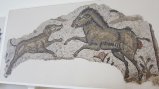 picture thumbnail