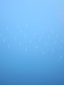 picture thumbnail