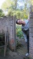 picture thumbnail