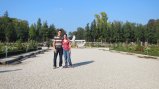 picture thumbnail