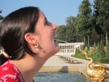 picture thumbnail