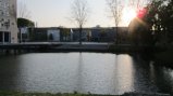 picture thumbnail