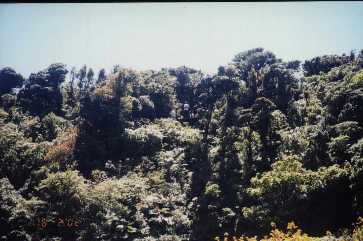 El mirador sobre el crater del Barva, desde abajo